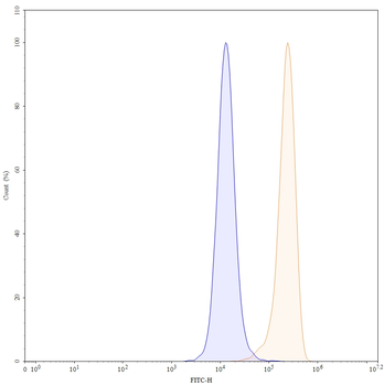 CD147/BSG Mouse Monoclonal Antibody