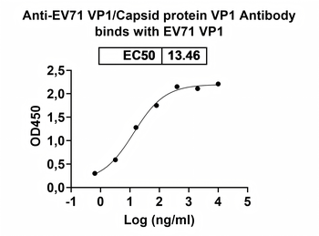 EV71 VP1/Capsid protein VP1 Human Monoclonal Antibody