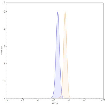 Bcl2 Mouse Monoclonal Antibody