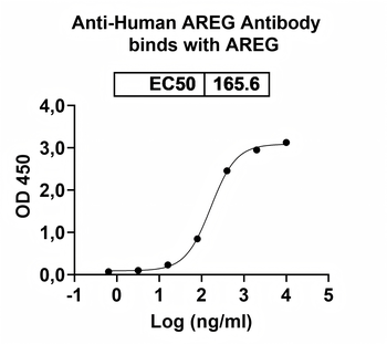 AREG Mouse Monoclonal Antibody