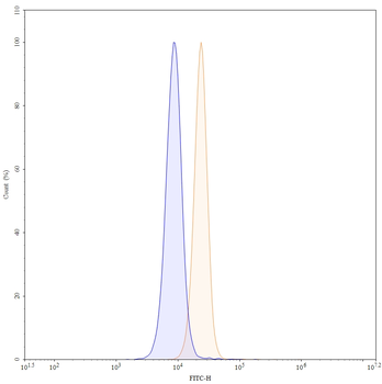 MAPT/Tau/PHF-tau Mouse Monoclonal Antibody