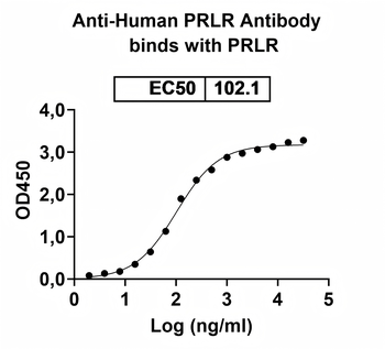 PRLR Human Monoclonal Antibody