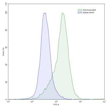 BAX Mouse Monoclonal Antibody
