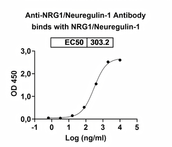 NRG1/Neuregulin-1 Mouse Monoclonal Antibody