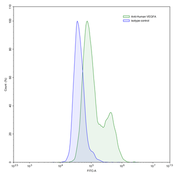 VEGFA Rabbit Monoclonal Antibody