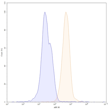 CFH Mouse Monoclonal Antibody