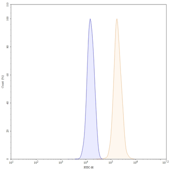CFH Mouse Monoclonal Antibody