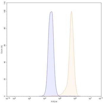 FN1/Fibronectin Mouse Monoclonal Antibody