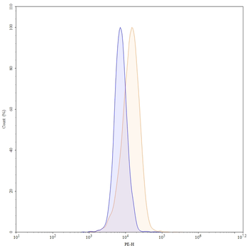 CX3CL1/Fractalkine Human Monoclonal Antibody
