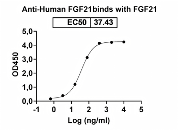 FGF21 Human Monoclonal Antibody
