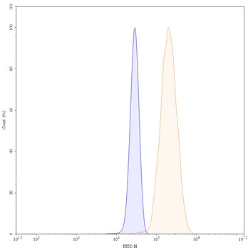 CSF1/M-CSF Human Monoclonal Antibody