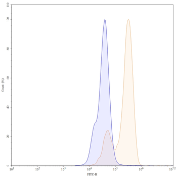 Gal-9/LGALS9 Mouse Monoclonal Antibody