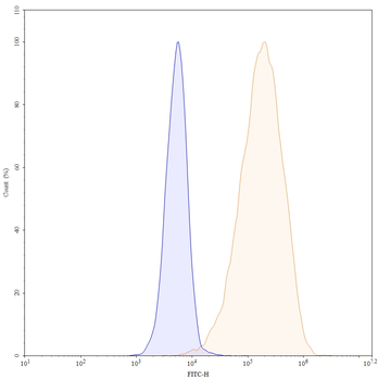 SSTR2/SRIF-1 Mouse Monoclonal Antibody