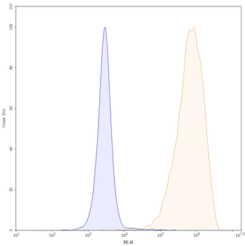 SSTR2/SRIF-1 Mouse Monoclonal Antibody
