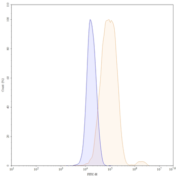 Phospho-Tau Mouse Monoclonal Antibody