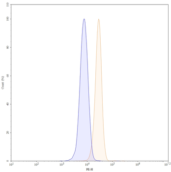MMP9 Mouse Monoclonal Antibody