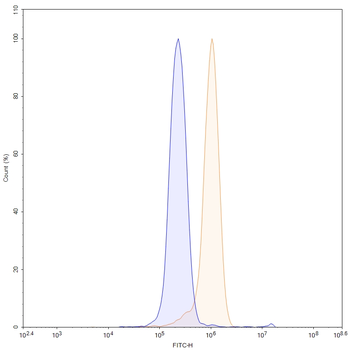 MMP3 Rat Monoclonal Antibody