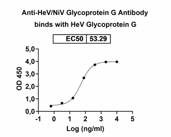 HeV/NiV Glycoprotein G Human Monoclonal Antibody