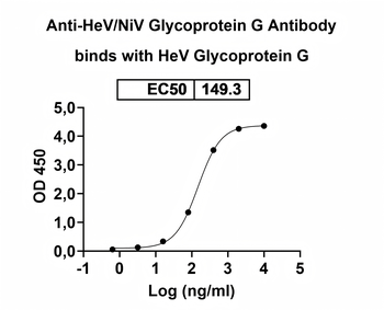 HeV/NiV Glycoprotein G Human Monoclonal Antibody