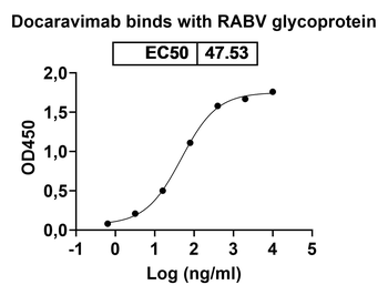 Recombinant RABV G/Glycoprotein, C-His