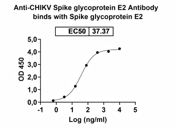 Recombinant CHIKV Spike glycoprotein E2 Protein, C-His