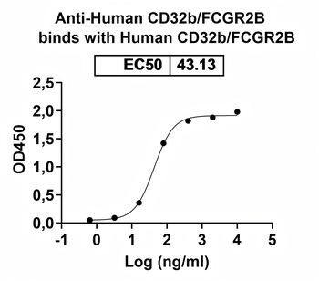 Recombinant Human CD32b/FCGR2B Protein, C-His