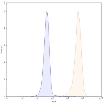 CD146/MUC18/MCAM Mouse Monoclonal Antibody (PE)