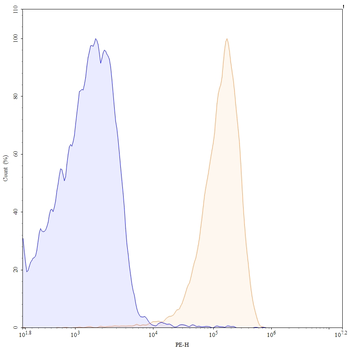 CD79β/CD79B Human Monoclonal Antibody (PE)
