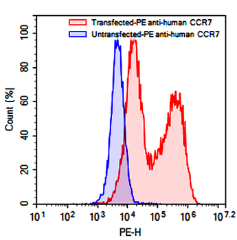 CD197/CCR7 Mouse Monoclonal Antibody (PE)
