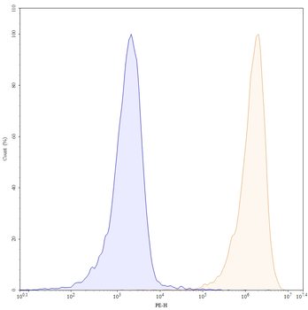CD56/NCAM1 Mouse Monoclonal Antibody (PE)