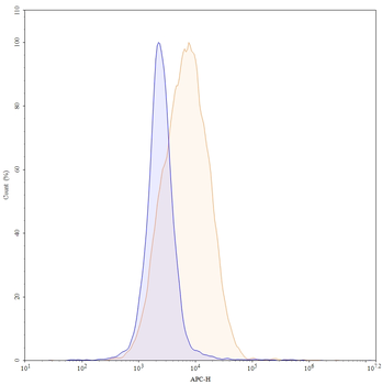 CD166/ALCAM Mouse Monoclonal Antibody (APC)