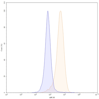 CD146/MUC18/MCAM Mouse Monoclonal Antibody (APC)