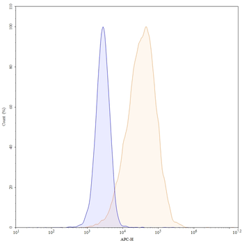 CD54/ICAM1 Human Monoclonal Antibody (APC)