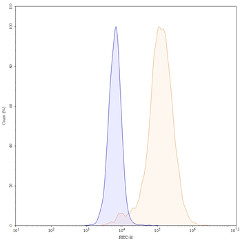 VSIG4/CRIg Mouse Monoclonal Antibody (FITC)