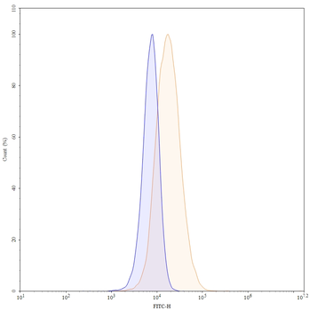 DLL3 Human Monoclonal Antibody (FITC)