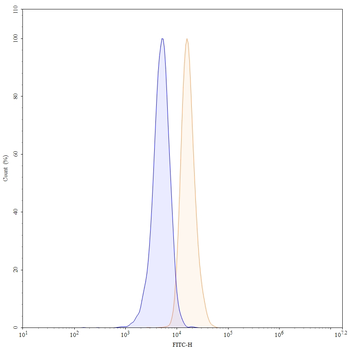 CD172a/SIRPA Mouse Monoclonal Antibody (FITC)