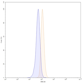 CD172a/SIRPA Mouse Monoclonal Antibody (FITC)