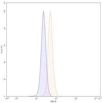 CD309/KDR/VEGFR-2 Mouse Monoclonal Antibody (FITC)