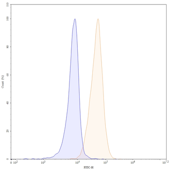 CD70 Mouse Monoclonal Antibody (FITC)