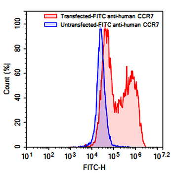 CD197/CCR7 Mouse Monoclonal Antibody (FITC)