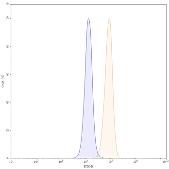 CD40/TNFRSF5 Human Monoclonal Antibody (FITC)