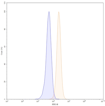 CD13/ANPEP/APN Mouse Monoclonal Antibody (FITC)