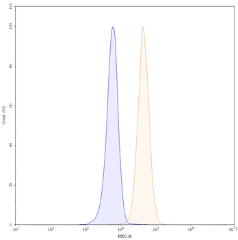 CD13/ANPEP Mouse Monoclonal Antibody (FITC)