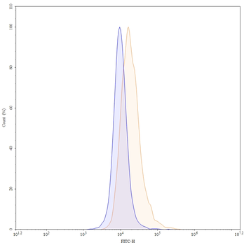 CD66a/CEACAM1 Mouse Monoclonal Antibody (FITC)