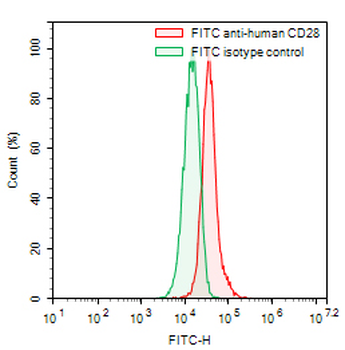 CD28 Mouse Monoclonal Antibody (FITC)