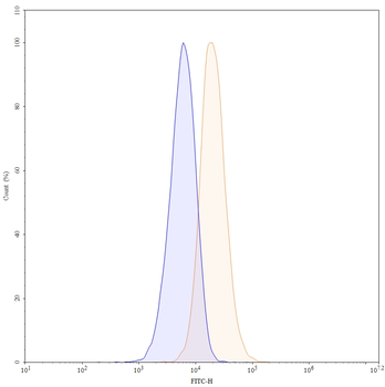 CD63/LAMP3 Mouse Monoclonal Antibody (FITC)