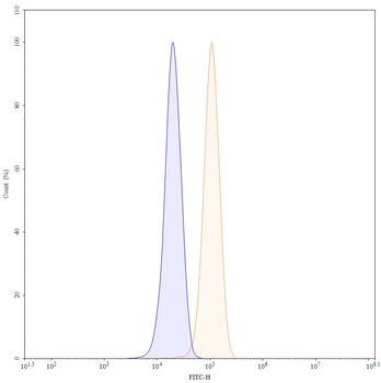 VIM/Vimentin Human Monoclonal Antibody (FITC)