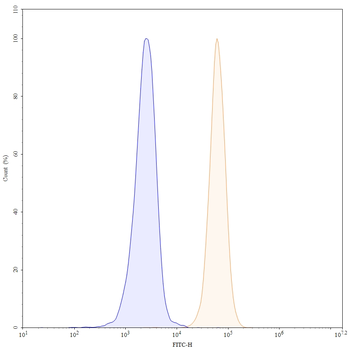 CD45/PTPRC Mouse Monoclonal Antibody (FITC)