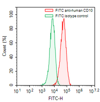 CD10/MME Mouse Recombinant Antibody (FITC)
