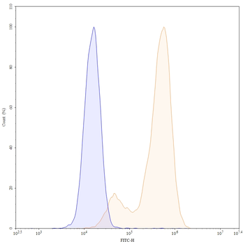 CD66e/CEA/CEACAM5 Human Monoclonal Antibody (FITC)